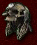 Helm-wormskull.gif